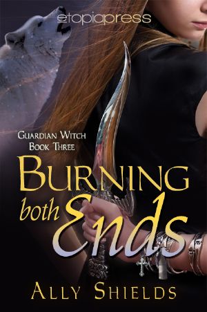 [Guardian Witch 03] • Burning Both Ends